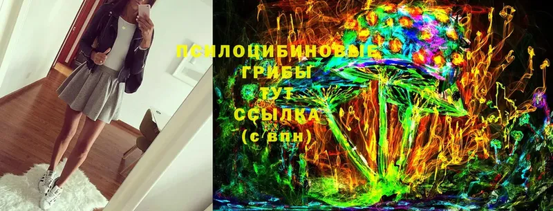 Псилоцибиновые грибы Cubensis  где продают наркотики  Дигора 